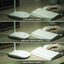 M71 Series Multi Utility Desk Lamps