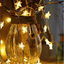 PRG2 Decorative Hanging String Lights (Plastic Wire)