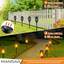 M70 Solar Flickering Flames LED Light