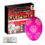 M61 Decorative Icon Lights | Christmas, Halloween, Kids | With Battery Case